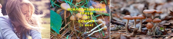 мяу мяу кристалл Алексин